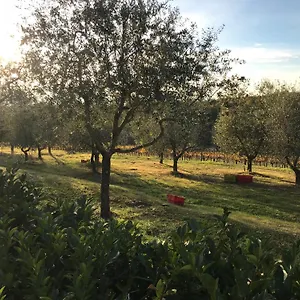 Il Villino Holiday home Castellina in Chianti